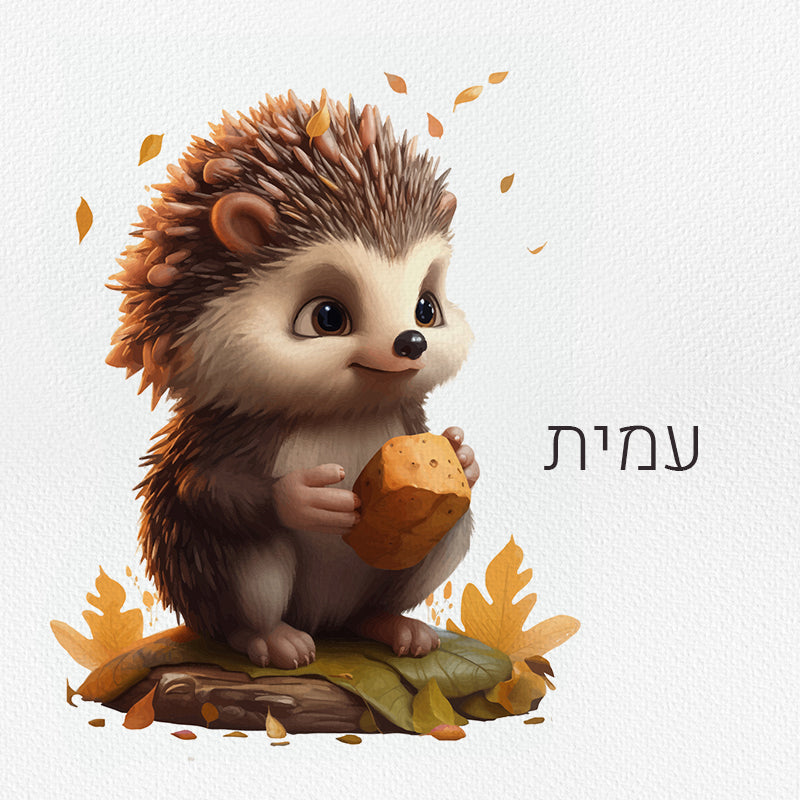 סט מוצרים עם שם הילד/ה בעיצוב קיפוד