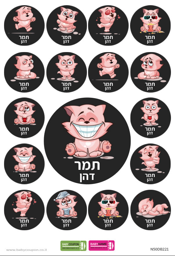 מדבקות סימון דגם חתולה ורודה - עם שם הילד/ה לגן ולבית הספר - עמידות במים וסבון!